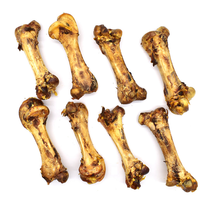 Ostrich Dino Bones