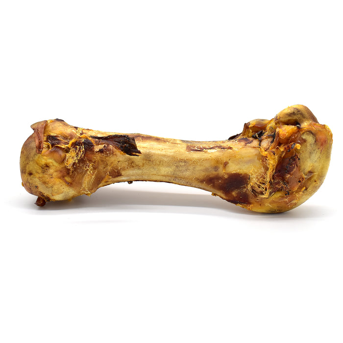 Ostrich Dino Bones