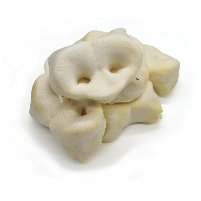 NEW! Large Puffed Pig Noses/Snouts