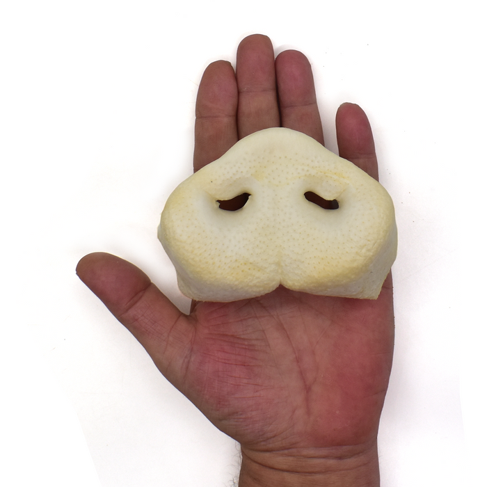 NEW! Large Puffed Pig Noses/Snouts