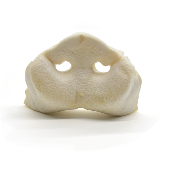 Puffed Pig Snouts