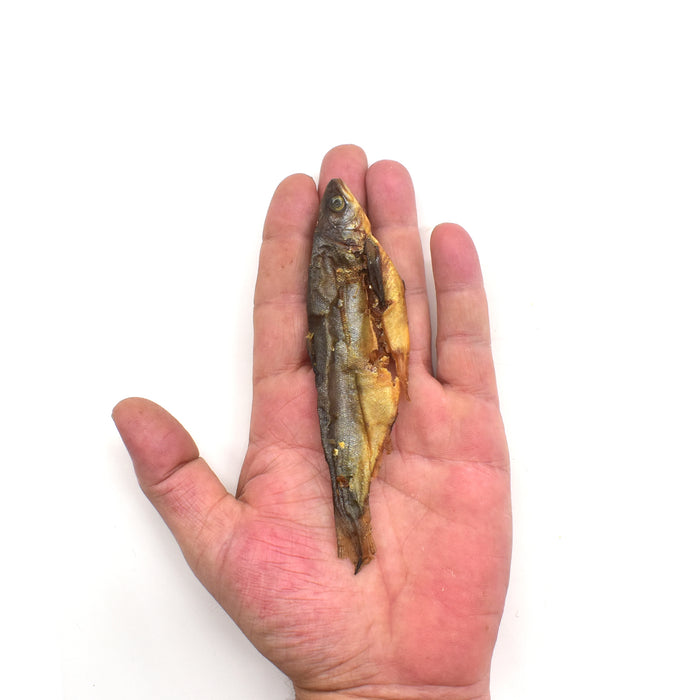 NEW! Whole Small Salmon