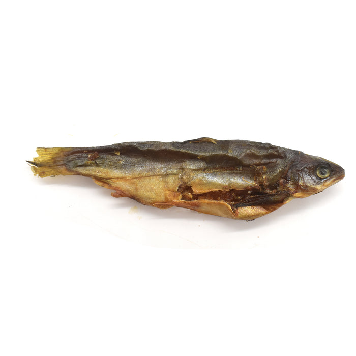 NEW! Whole Small Salmon