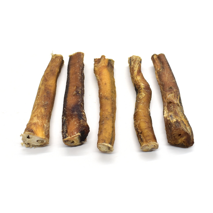 XL 15cm Bull Pizzle Sticks