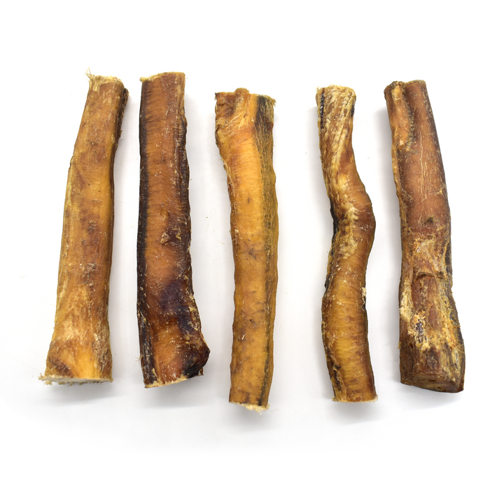 XL 15cm Bull Pizzle Sticks