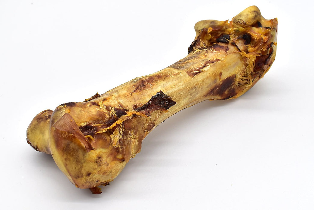 1 x Large Ostrich Dino Bone
