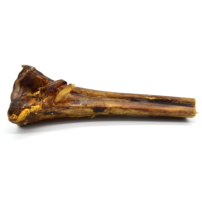 Ostrich Metatarsus Bone