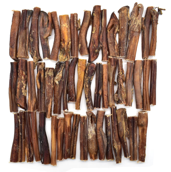 50 x 12cm Bull Pizzle sticks/Pizzles. 100% Natural Air-Dried Treat
